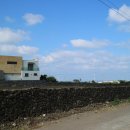 이디오랜 이미지