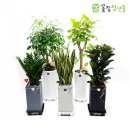 청년꽃집 - 2921 | 청년꽃집