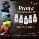 브레라인에스테틱