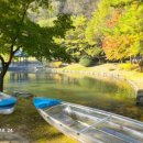 황금마차마을 이미지