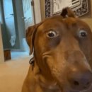 관양시장 이미지