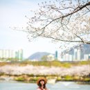 연지공원 이미지