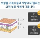 압구정아이비성형외과의원 이미지