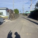 낭만목장 이미지