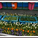 북구청광장 이미지