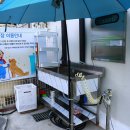 멍스타펜션 이미지