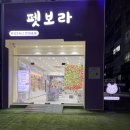 보라애견샵 네이버블로그