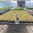 하나농자재 이미지