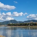 김해세무서 밀양지서 이미지