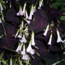 뚝길따라 이미지