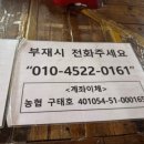 초정참숯가마찜질방 이미지