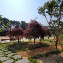 백제중학교