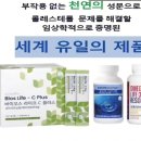배인아 미용실