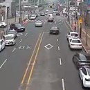 주정차단속-5 이미지