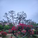 원당공원 화장실 이미지