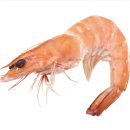 오늘 하루 일진이 안좋다면, 모기한테 왼쪽다리 18방 오른쪽다리 10방 물린 날 기억해주길 바래