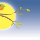 신토불이 축산물