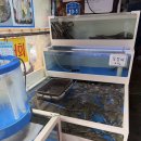 태안수산 | 태안수산 꽃게 포장 후기 ,살·신선도·가격 완벽했던 맛집