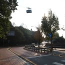 호랭이카 이미지