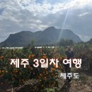 송악산농장