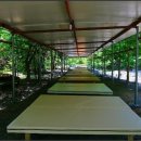 해누리약국 이미지