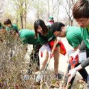중랑구청직장어린이집 | 남산공원, 공원돌보미 100번째 입양공원 된다