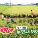 길암농장 티스토리