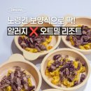 망 용 | 노령견 강아지보양식으로 딱, 퍼피스니즈 오트밀리조또 후기