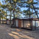 서해안오토 | 🌊 벌천포해수욕장 캠핑 후기 | 서해안 노지캠핑의 숨겨진 보석을 찾다