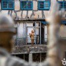 태백목장 이미지