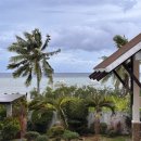 태풍액션스쿨 | [2025 보홀] 1# 필리핀 보홀 입국 하기 eTravel/SSI 오픈워터 스쿠버 다이버 자격증/ 보홀 go2dive 고투...