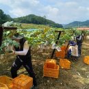 청주시 농업기술센터 이미지