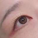 베베샵 | 안양 샵베베 무쌍 전문 속눈썹 클리닉펌 받아봤어요