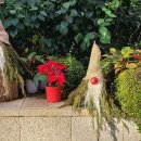 양평경희통합의원한의원 이미지