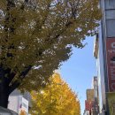 정부청사 입구(대덕대로) | 엄마 생신은 핑계고 그냥 성심당이 가고싶었던 사람의 대전 1박 2일