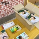 망 북 | &lt;완전 (망)한 여행&gt; 허휘수 + 서솔 작가 북토크 후기