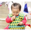 이윤성 족요 이미지