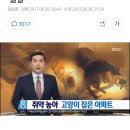 종적 감춘 아파트 길고양이, 쥐약에 &#39;몰살&#39; 이미지