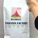 네츄럴팩토리 이미지