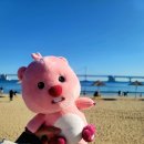 죽전문점-본가진죽 본점 | 부산가볼만한곳 광안리해수욕장 찍고 용호동할매팥빙수 팥죽 솔직후기│부산여행