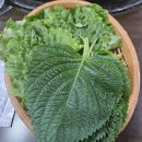 웰빙닭갈비 이미지