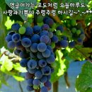 색소폰(저녁) 이미지