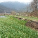 일남농장 이미지