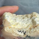 레디앙마카롱 | 평택 마카롱 맛집 레디앙마카롱 내돈내산