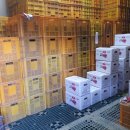 평창고등학교 이미지