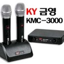 (주)금영전자 이미지