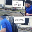 위즈타로 | 너는 해가 될까!!!!해가될까!!!