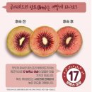 💥행사💥 🍉 고당도 흑수박 🍈 칸탈로프 꿀메론 ⛰️고산지 산딸기 🍊 하우스귤 🍋 성주 용암참외 🫐 유레카 스위트 블루베리 이미지