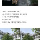 해외여행 네이버블로그 보고 가놓고 한국인 바글바글 하다고 징징거리는거 이해 안가는 달글 이미지