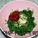 나물 Daum카페